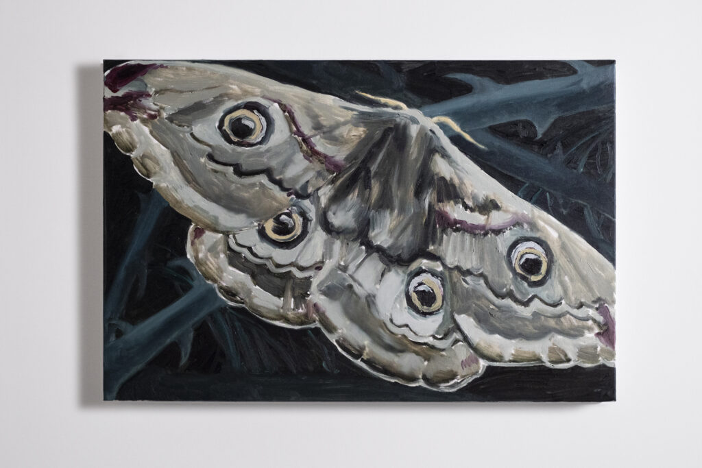 Cecilia Cocco, The Opponent, 2026. Oil on canvas, cm 40x60